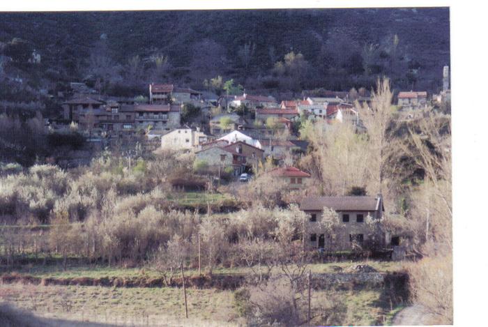 [Thumbnail for village with sloes in flower..jpg]
